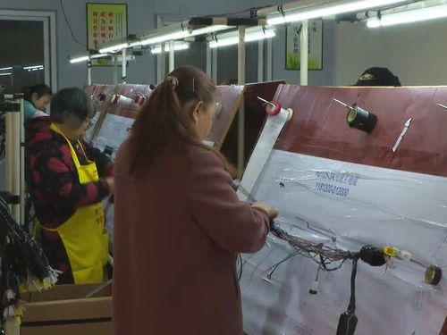 勞務(wù)服務(wù) 樂(lè)至縣鄉(xiāng)村振興的新引擎