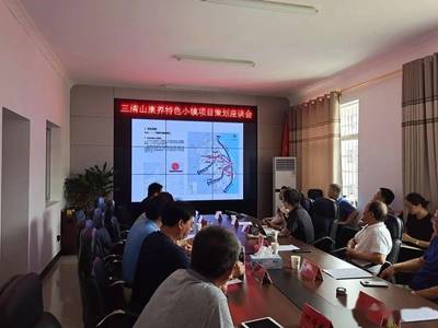 三清山康養(yǎng)特色小鎮(zhèn)項(xiàng)目策劃座談會(huì)順利召開，共謀旅游開發(fā)新篇章