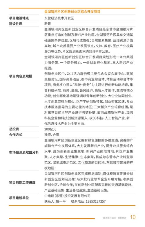 2021年?yáng)|營(yíng)市文化旅游項(xiàng)目開發(fā)策劃咨詢 賦能黃河入海，打造文旅新名片